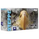 OH1503 Box 100 _Standing.webp